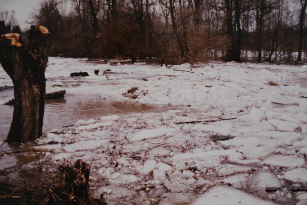 1983 Eisstoss 1.jpg